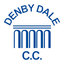 Denby Dale CC 1st XI